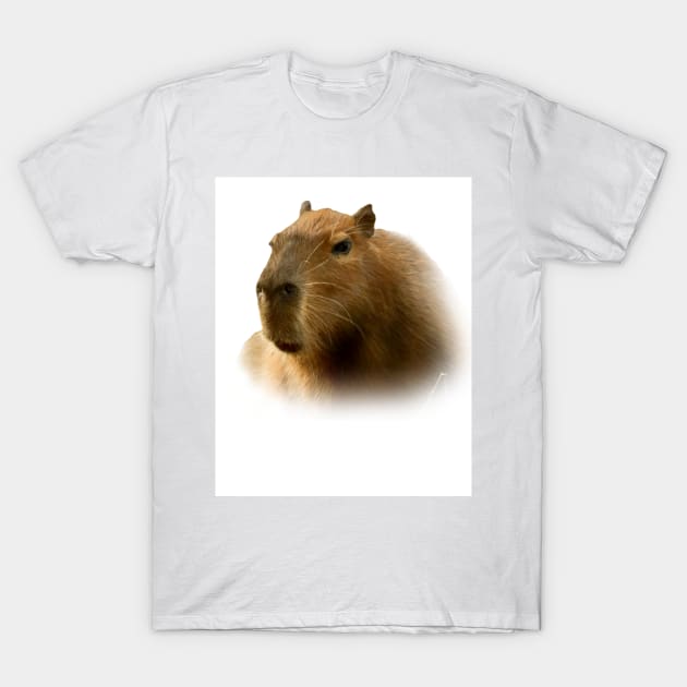 Capybara T-Shirt by Guardi